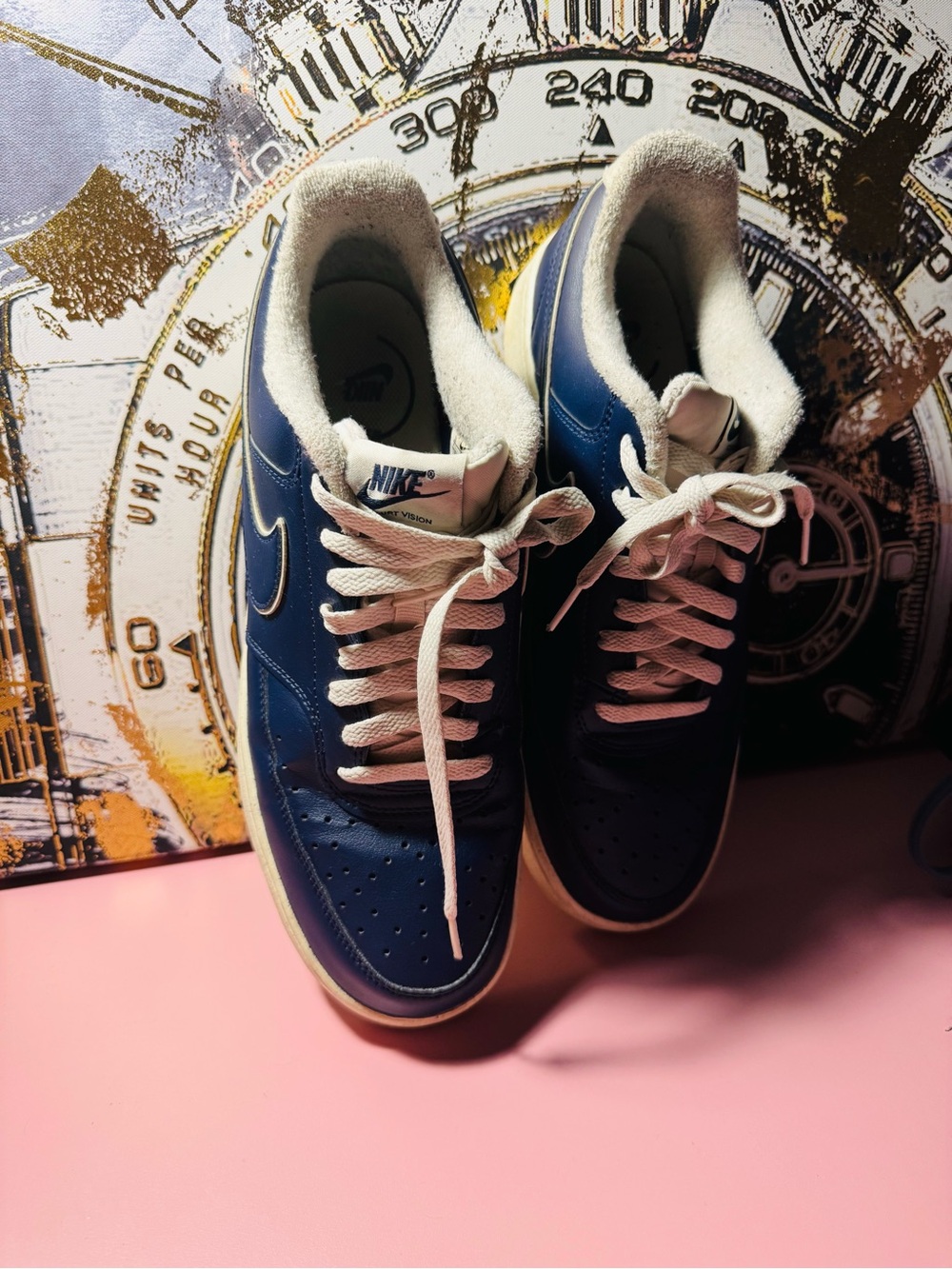 Nike Navy and White Leather Low-Top Sneakers